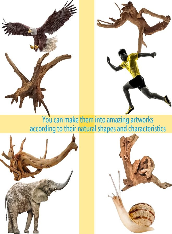 Vmiapxo 8 Pieces Natural Driftwood for Aquarium Decor, Assorted Sinkable Spider Wood, Reptile Drift Wood Branches Fish Tank Decorations (3.15''-4'') - Image 5